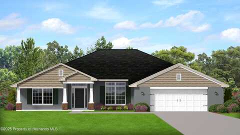 11206 Roland Street, Spring Hill, FL 34609
