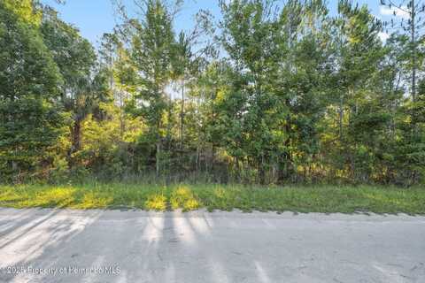 Ramsey Road, Weeki Wachee, FL 34614