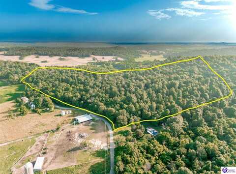 Hill Grove Road, Guston, KY 40142