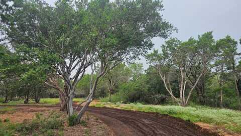 Cr 119, Burnet, TX 78611