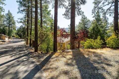 53545 Double View DR, Idyllwild, CA 92549