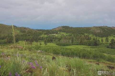 14884 Rist Canyon Rd, Bellvue, CO 80512