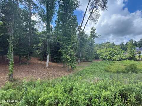 Lot 93R-3 Forest Creek Pkwy, Oak Ridge, TN 37830