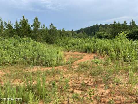 Lot 51 Three Point Rd, Vonore, TN 37885