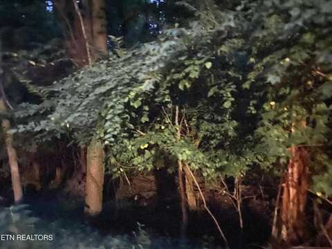 Alpine Drive, Sevierville, TN 37876