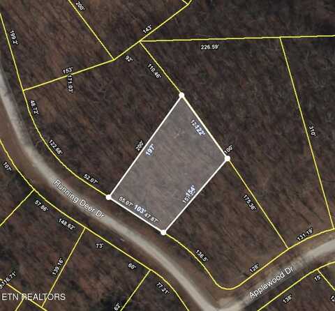 Running Deer, Crab Orchard, TN 37723