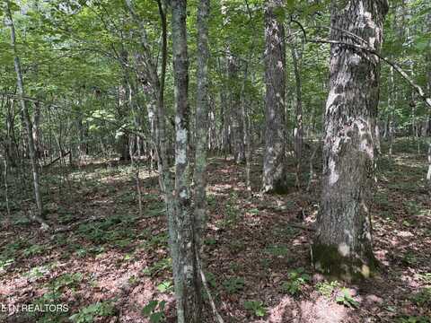 Laurel Way, Monterey, TN 38574