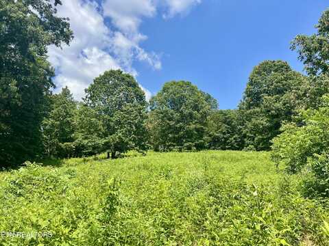 378 Johnson Hollow Rd, Sharps Chapel, TN 37866