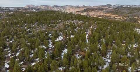 Cedar Road, East Kane County, UT 84758