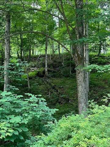 0 Tuppers Creek Road, Sissonville, WV 25320