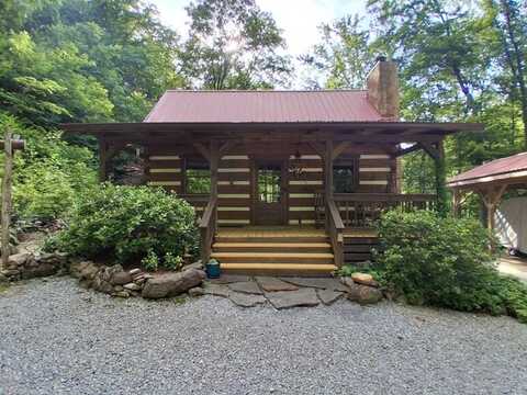 651 Odessey Rd, Del Rio, TN 37727
