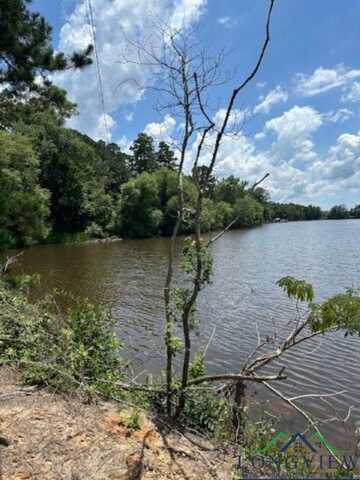 Tbd E Lake Devernia, Longview, TX 75604