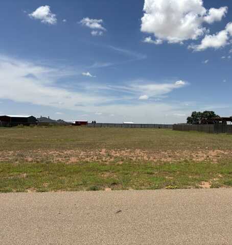 1105 Cotton Creek Road, Tahoka, TX 79373