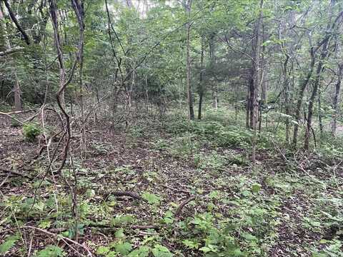 Lots 11&12 Percy Street, Corinth, KY 41010