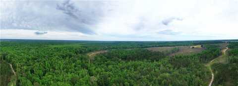 0 COUNTY ROAD 9, SHORTER, AL 36075