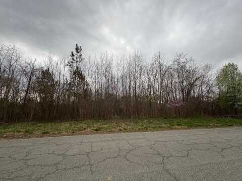 8 lots Vaughan Street, South Boston, VA 24592
