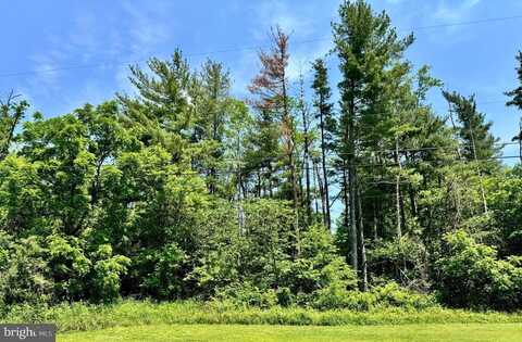 FIRTREE LN, CRESAPTOWN, MD 21502