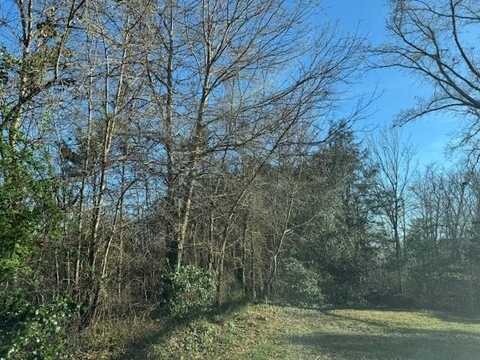 8 LOTS Vaughan Street, South Boston, VA 24592