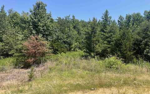 51 BILLY NANCE, Clifton, TN 38425