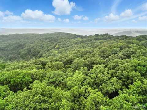 1422 Emily Lane, Festus, MO 63028