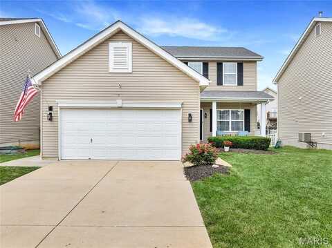 1217 Woodgrove Park Drive, O'fallon, MO 63366