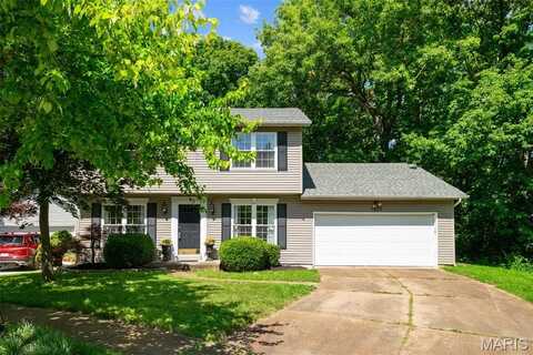 1439 Briarcreek Drive, Kirkwood, MO 63122