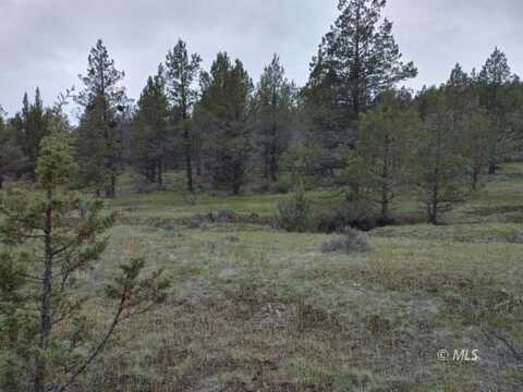 Rocky Rd, Alturas, CA 96101
