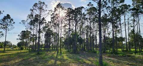 16322 NW 294 st, Okeechobee, FL 34972
