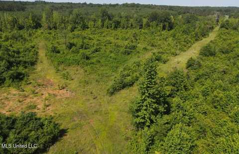 001 County Road 1024, Carthage, MS 39051