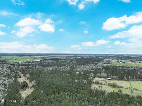 Highway 43 Parcel 1, Kiln, MS 39556