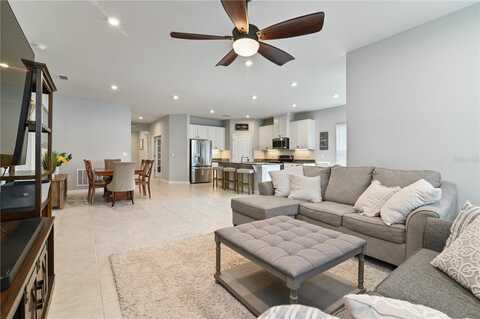 410 WINTER BLISS LN, MOUNT DORA, FL 32757