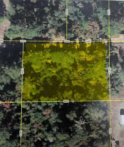 00 NE 201 ST PLACE, OCKLAWAHA, FL 32179