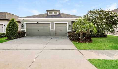 13408 NIMBLE MINKE, RIVERVIEW, FL 33579