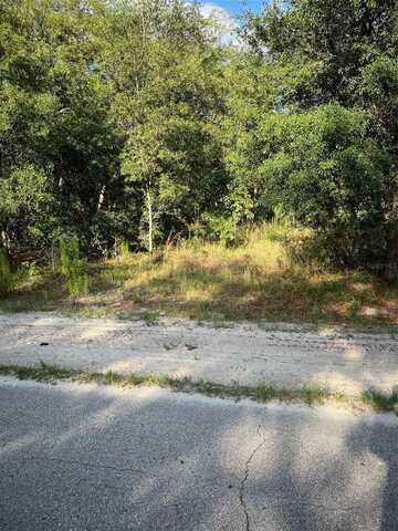 SW 72ND TERRACE, DUNNELLON, FL 34432