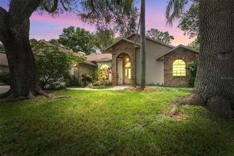 3001 FOLKLORE DRIVE, VALRICO, FL 33596