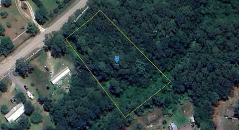2223 COSMOS AVENUE, MIDDLEBURG, FL 32068