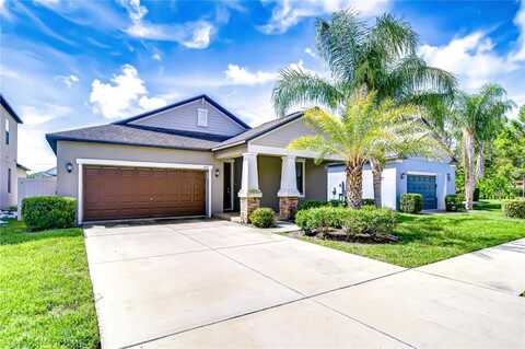 11011 LITTLE BLUE HERON DRIVE, RIVERVIEW, FL 33579