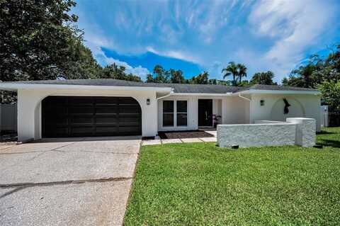 3411 GLOSSY IBIS COURT, PALM HARBOR, FL 34683