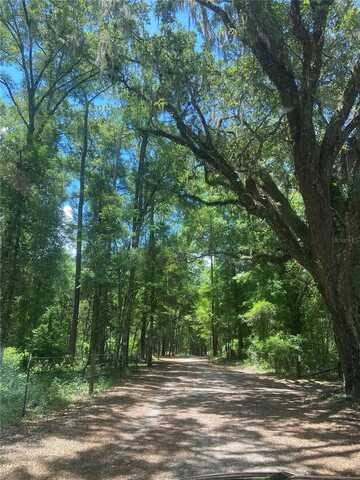 NE 166TH AVENUE, WILLISTON, FL 32696