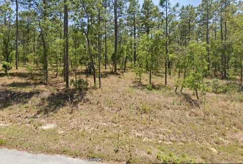454605 NW GERANIUM AVENUE, DUNNELLON, FL 34431