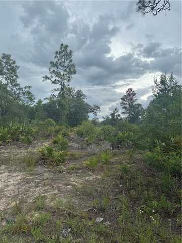 NE 105ST, ARCHER, FL 32618