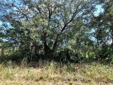 LONGFELLOW LANE, NORTH PORT, FL 34288