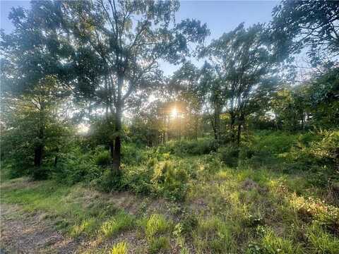 745 Riverstone ST, Russellville, AR 72802