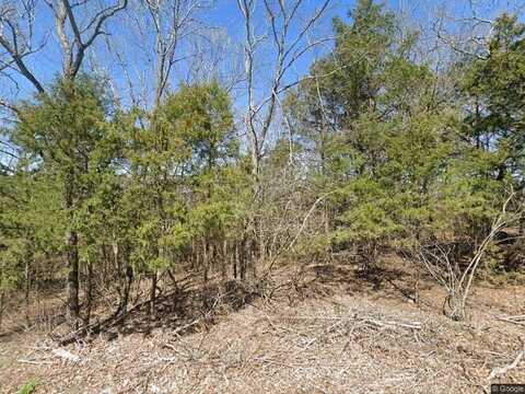 5 Suntop LN, Holiday Island, AR 72631