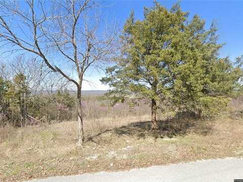 7 Suntop LN, Holiday Island, AR 72631
