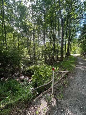 0 E Two Pond Lane, HAYESVILLE, NC 28904