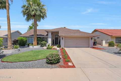 11446 N 109TH Street, Scottsdale, AZ 85259