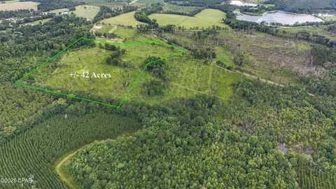 0 Bush Road, Graceville, FL 32440