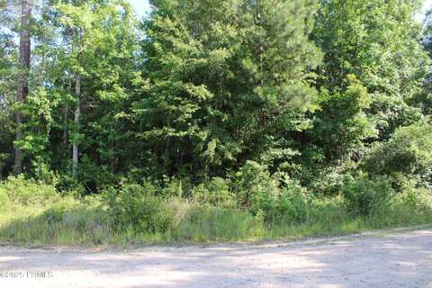 800 Dr Young Road, Hampton, SC 29924