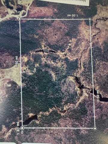 Lot 13 off big ridge Road, Addison, ME 04606
